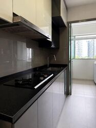 Blk 273A Punggol Regalia (Punggol), HDB 4 Rooms #575559781